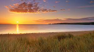 Naturism at Studland Bay | Dorset | National Trust