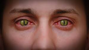 Lens.com is dedicated to providing convenience and fast delivery while delivering the very best in competitive pricing. Here S Why You Should Never Use Decorative Contact Lenses In Graphic Pictures Ars Technica