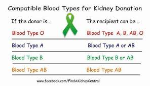 Pin On Renal Failure