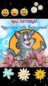 Прикольные Картинки Про Пятницу | TikTok