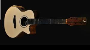 Profile for Gerald Sheppard Guitars