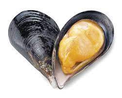 Per prepararla bastano pochissimi ingredienti: Zuppa Di Cozze A Regola D Arte Con La Ricetta Dello Chef Antonio Sorrentino