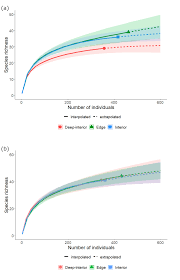 Image result for Illigera pentaphylla