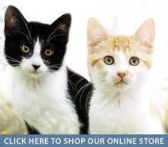 At virginia beach petsmart pet stores, you'll find essential pet supplies and services. Home Pismo Beach Veterinary Clinic