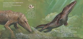 慾望 漩渦- 深海殺人鯨 帶領 慾望俘虜 Yuna 沉浸 肉慾 樂園