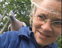 Bird Identification at Townsville Workplace