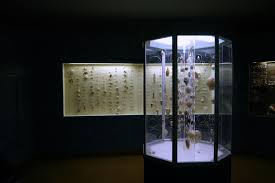 Shells From The Albany Museum Grahamstown South Africa Ben Coode Adams Grahamstown Monument Museum