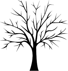 13 Joyeux Coloriage Arbre Sans Feuille Photos Arbre Coloriage Feuille Joyeux Mitkindern Photos S 2020 Sanat Etkinlikleri Boyama Sayfalari Sonbahar Agaclari
