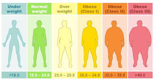 Body Mass Index Bioninja