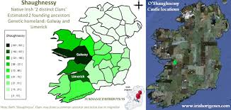 Two lions rampant combatant or. Shaughnessy O Irish Origenes Use Your Dna To Rediscover Your Irish Origin
