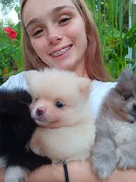 Harper's puppies!!! 5 weeks old Barbara Hopkins