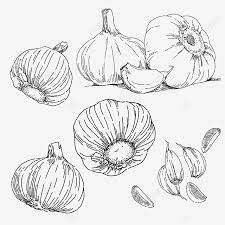 Feb 02, 2020 · bawang putih memang mengandung zat yang mampu meningkatkan sistem kekebalan tubuh. Gambar Elemen Lukisan Tangan Kelopak Bawang Putih Bawang Putih Kepingan Bawang Putih Perasa Png Dan Psd Untuk Muat Turun Percuma
