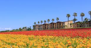 Image result for Carlsbad