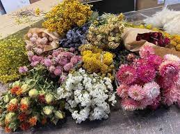 We supply fresh flowers in london and some of our key clients are mrh, rontec, mfg and all private sites. Where To Buy On Trend Dried Flowers Melanie Lissack Interiors