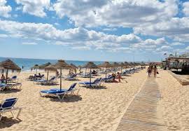 Image result for Faroa duvigneaud