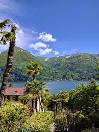pin on visite suisse