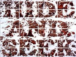 Check spelling or type a new query. Storyteller The Western And Camouflage Art Of Bev Doolittle Wenaha Gallery