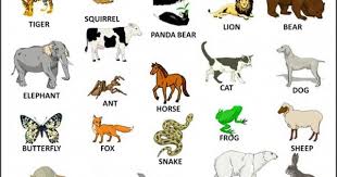 Hd Wallpapers Wallpapers Download High Resolution Wallpapers Hd Wallpapers Wallpapers Download High Resolution Wallpapers Consists Of Nature Wallpapers Wild Animals Pictures Farm Animals Pictures Animals Name With Picture