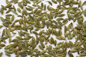 Adas, pokok adas, biji halba, serbuk adas, jintan putih, jintan hitam, serbuk jintan. Fennel Seeds By Chintamani Enterprise Fennel Seeds From Patan Gujarat Id 1817117