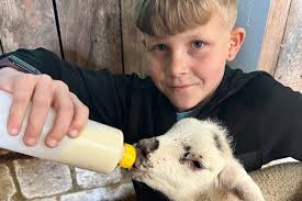 Frampton Farm Dover Kent