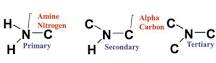 Image result for which of the following medically important amides is used for the treatment of insomnia