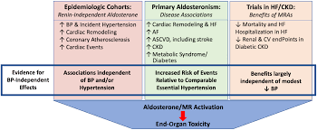 Image result for Aldosterone