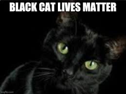 In july 2015, black lives matter demonstrators disrupted a town hall with democratic presidential candidate bernie sanders and governor of. Black Cat Lives Matter Imgflip