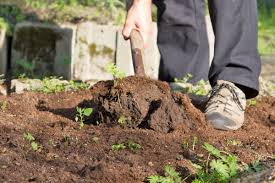 Dem kann man aber etwas vorbeugen. Der Garten Im September Tipps Tricks Vom Gartner Diybook At