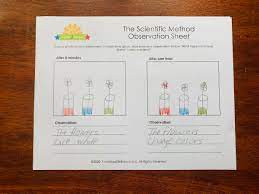 Your kids will love learning about how plants drink water with this simple experiment. The Scientific Method Footsteps2brilliance