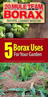 Get free shipping on qualified soil amendments or buy online pick up in store today in the outdoors department. 5 Clever Uses For Borax In The Garden Plantcaretoday Com