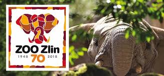 Za jeden den „procestujete čtyři kontinenty a seznámíte se s 216 druhy zvířat. Zoo Zlin Snimek 70 Let