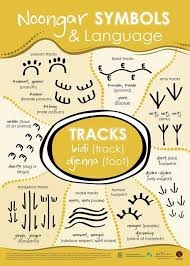 Sercul Noongar Posters Indigenous Education Aboriginal Education Aboriginal Art For Kids