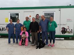 Situated on major migratory routes, and providing adequate conditions for nesting and hatching, the danube delta is a magnet for birds from six major ecoregions of the world, including the mongolian, arctic and siberian. Tasso Im Donaudelta Tasso