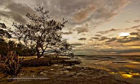 May god bless our wonderful clients! Cavalier Photography Home Facebook