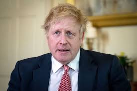 The couple then went on to celebrate their nuptials. Johnson Apologizes For Chaotic Hairstyle And Insists That I Really Have