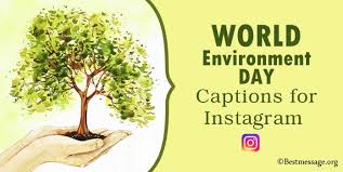 Environmental observances and world day campaigns are a great way to raise awareness for a cause that is meaningful to you or your company. 20 World Environment Day Captions For Instagram