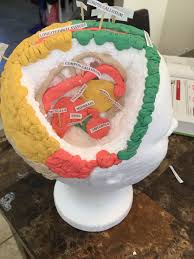 Intro Psychology Brain Model Brain Models Biology Projects Human Body Projects