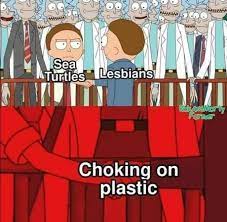 Sea Turtles And Lesbians Sharing A Moment 9gag