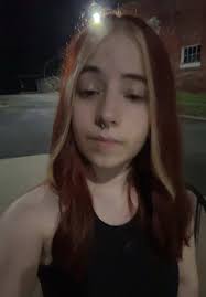 Breaking Benjamin Councert to Loud