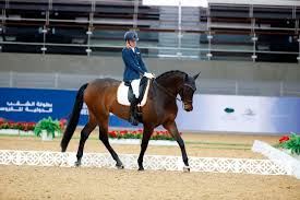 Sølv til ann cathrin lübbe (29718996185).jpg. Dutch Equestrian Team Make Mark At Chi Al Shaqab International Paralympic Committee