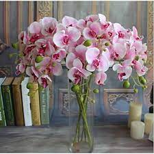 We did not find results for: Cheap Artificial Flowers Vases Online Artificial Flowers Vases For 2021