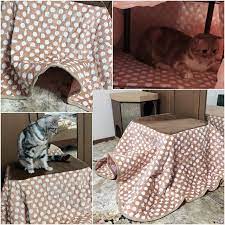 こたつ買ってもらったニャーペット用こたつニャ kotatsu is a table with an electric heater attached to the underside of the table pets kotatsu こたつ p kotatsu table decor home decor