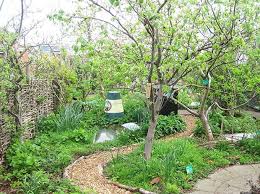 5 Amazing Food Forest Gardens Fruit Trees Backyard Food Forest Garden Forest Garden