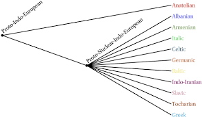 Check spelling or type a new query. Indo European Phylogenetics With R In Indo European Linguistics Volume 8 Issue 1 2020
