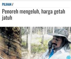 Jangan terperanjat bila ada penoreh getah mendapat pendapatan rm3,000 sebulan sekaligus melepasi pendapatan penjawat awam. 500 000 Orang Terjejas Daripada Lebih Rm400 Seminggu Kepada Serendah Rm8 Najib Razak