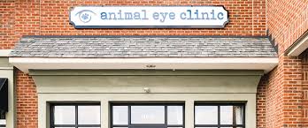 Located in virginia beach, va. Animal Eye Clinic We Provide Veterinary Ophthalmology Services To Dogs And Cats Located In Carmel Indiana We Serve Indianapolis And The Surrounding Areas