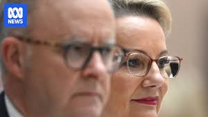 Michael Janda (@mikejanda)