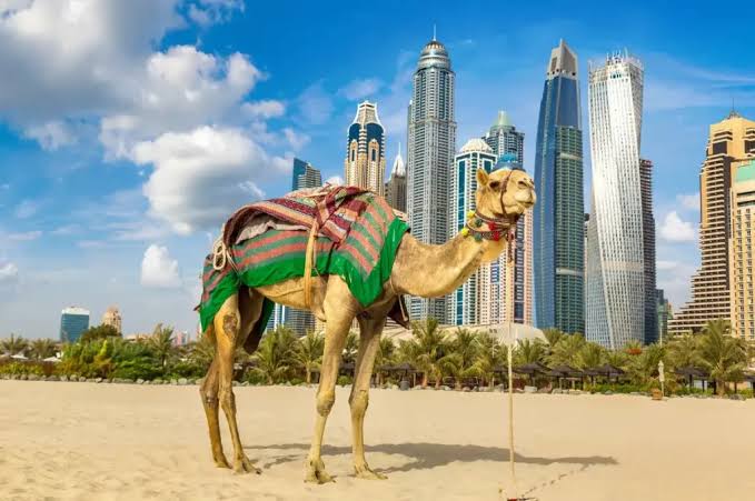 6 Days 5 Nights Dubai Package Gallery