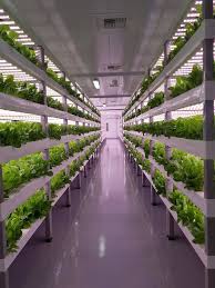 Besides good quality brands, you'll also find plenty of discounts when you shop for vertical garden during big sales. Top 25 Vertical Farming Companies