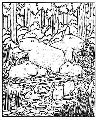 Capibara Coloring Page Animals Town Animals Color Sheet Capibara Printable Coloring Coloring Pages Capybara Coloring Sheets
